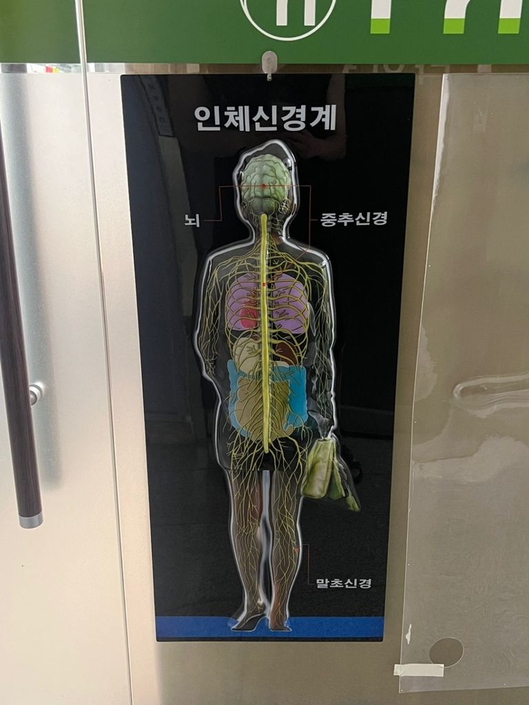 인체 인쇄성형